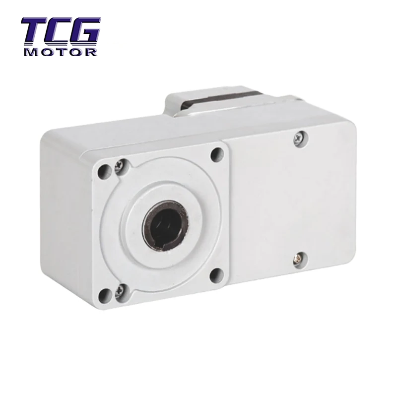 30W BLDC-motor med 60GL hålaxel platt växellåda