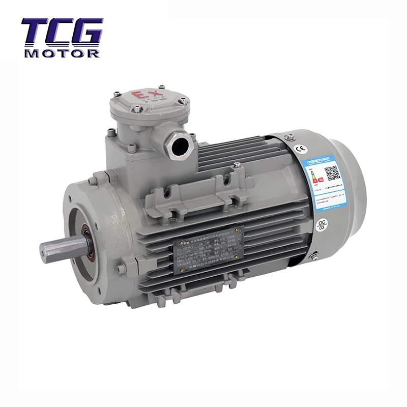 Ex d IIC T4 Explosionssäker motor B14 Liten fläns
