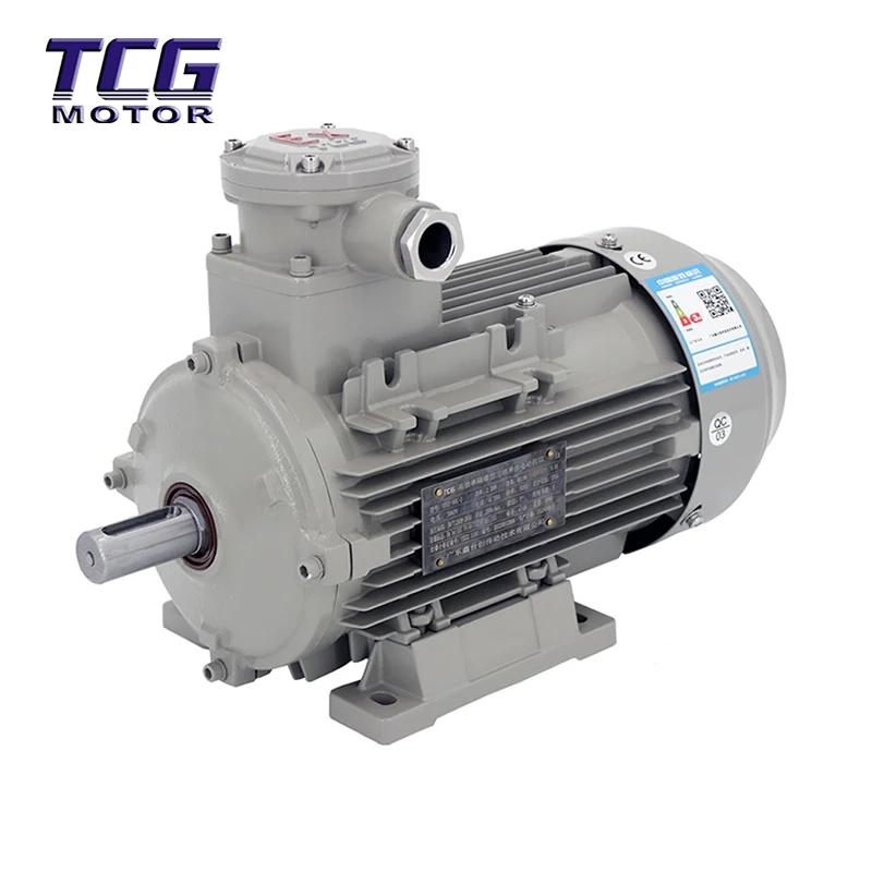 Ex d IIC T4 Explosionssäker motor B3 Montering