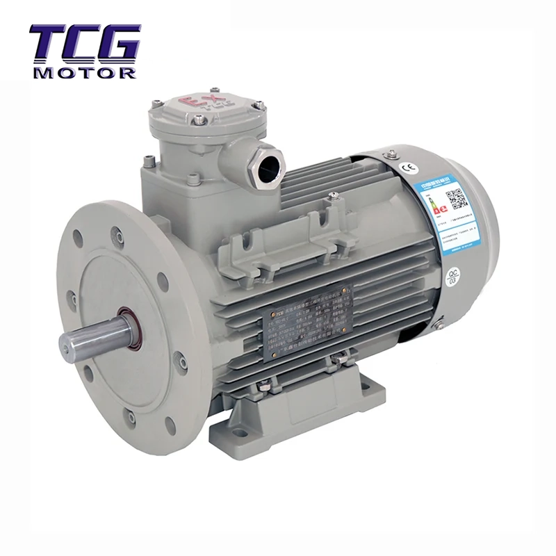 Ex d IIC T4 Explosionssäker motor B35 fot