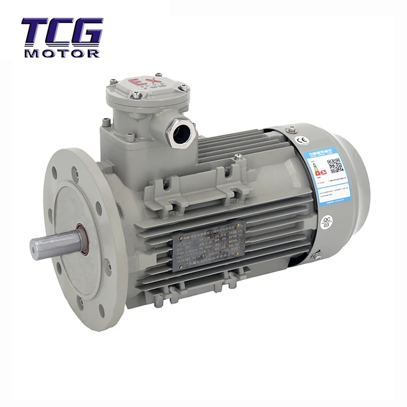 Ex d IIC T4 Explosionssäker motor B5 Flänsmonterad