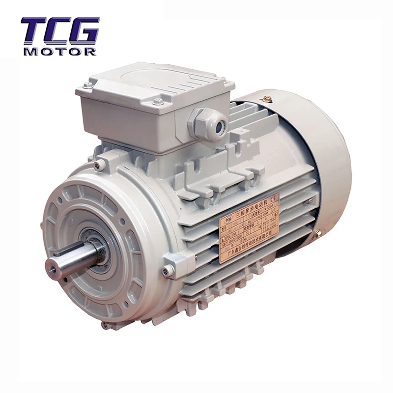 Högeffektiv motor B14 Flänsmonterad