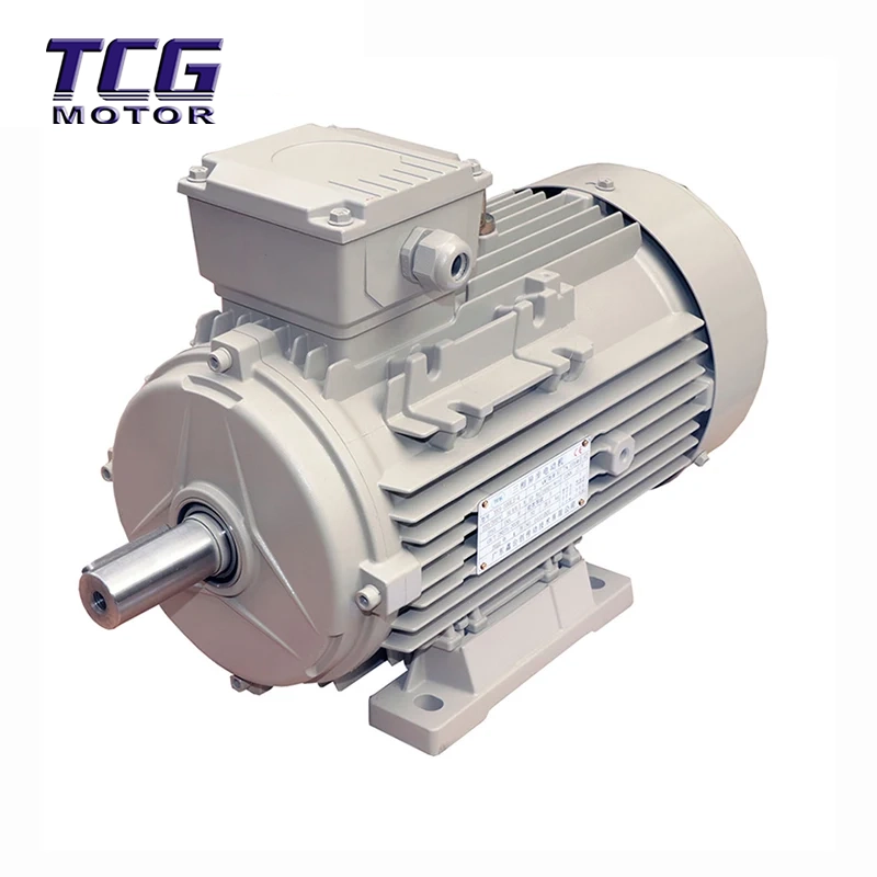Högeffektiv motor B3 fotmonterad