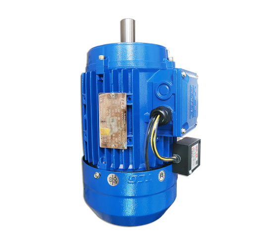 TCG Taichuang Brake Motors