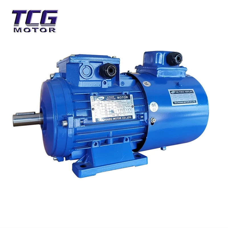 Inverter Duty Aluminium Motor